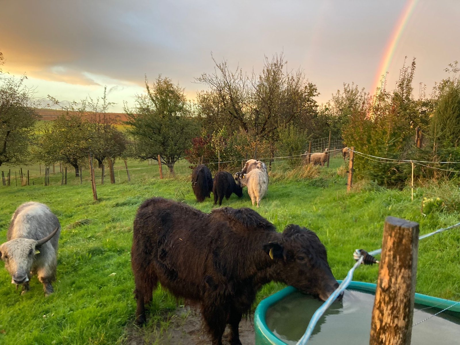 63b2d4fb-15f0-48d4-bf32-3ac697bed1ef